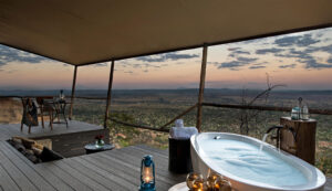 5-Day Luxury Safari Through Tanzania’s Finest Parks