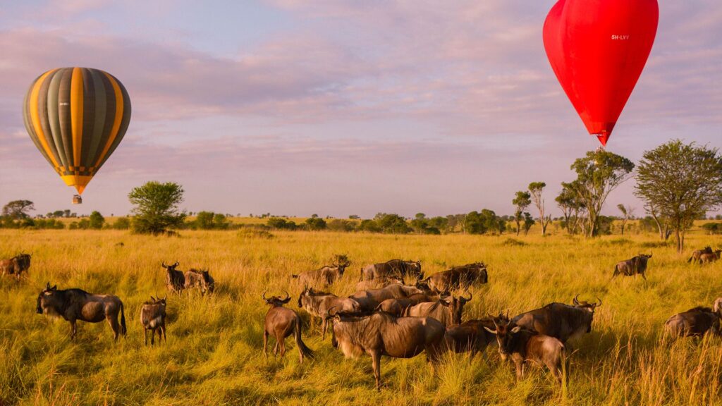 4-Day Comfort Wilderness Safari