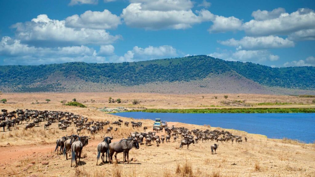 3-Day Tarangire & Ngorongoro Wildlife Escape