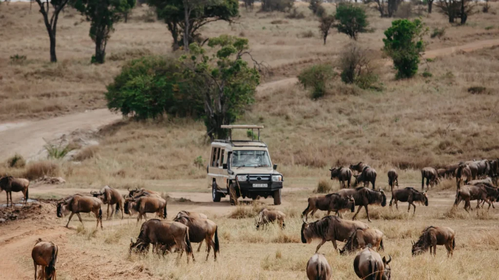 6-DAY TANZANIA CLASSIC SAFARI