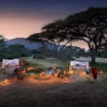 6-DAY EPIC LUXURY HIGHLIGHTS OF TANZANIA
