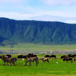 7-Day Scenic Crater Rim Adventure
