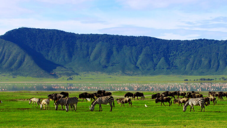 7-Day Scenic Crater Rim Adventure